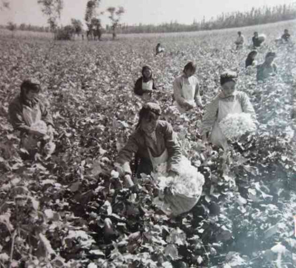 老照片：新中国70年代初期欣欣向荣的农村人民公社