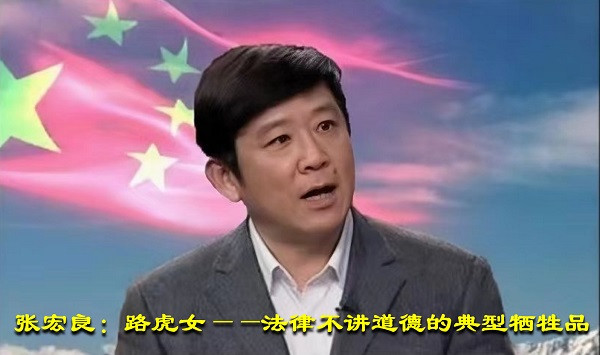 张宏良：路虎女——法律不讲道德的典型牺牲品