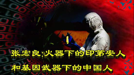 张宏良：火器下的印第安人和基因武器下的中国人