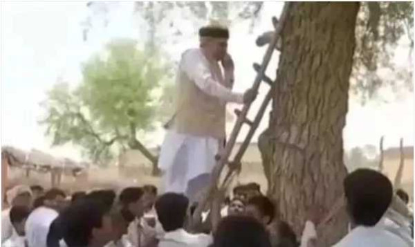 中国人地铁里玩手机，欧洲人看书？背后真相竟是…