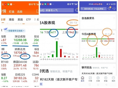 张宏良：中国股民——谎言误国的最大媒介和牺牲品