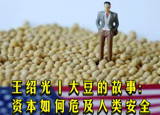 王绍光丨大豆的故事：资本如何危及人类安全