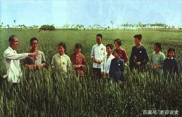 广阔天地，大有可为——记录当年知青下乡生活的珍贵彩色老照片