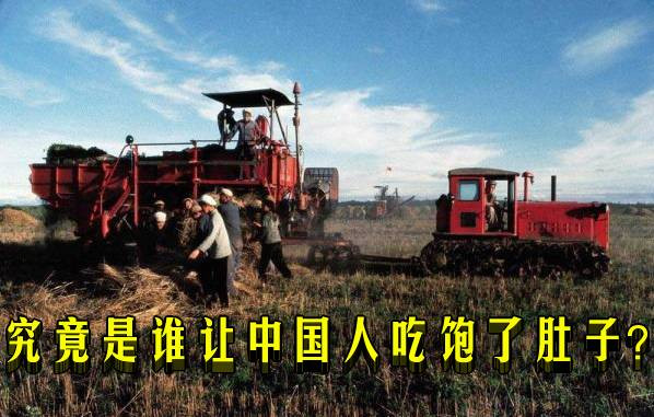 究竟是谁让中国人吃饱了肚子?