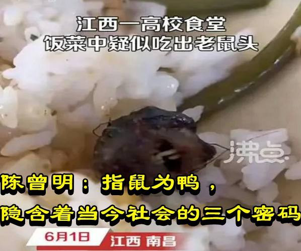 陈曾明：指鼠为鸭，隐含着当今社会的三个密码
