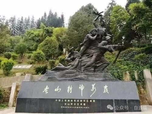 千里寻儿奔老山