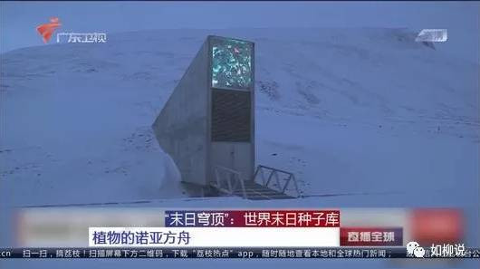 如柳 | 转基因背后的种子战秘密
