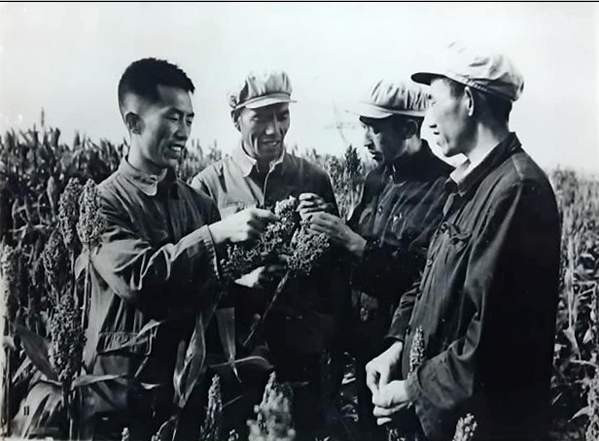 从报刊提供的数据看前三十年的基本建设