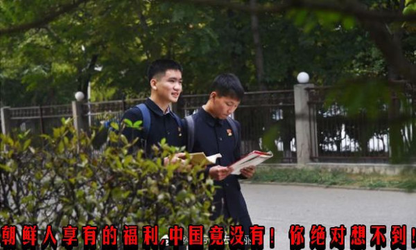 朝鲜人享有的福利,中国竟没有!你绝对想不到!