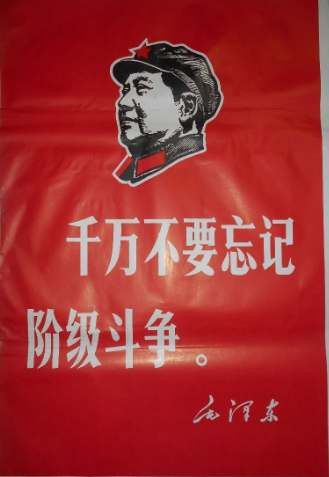 张宏良：能否实现自我净化是左派是否会被淘汰的关键