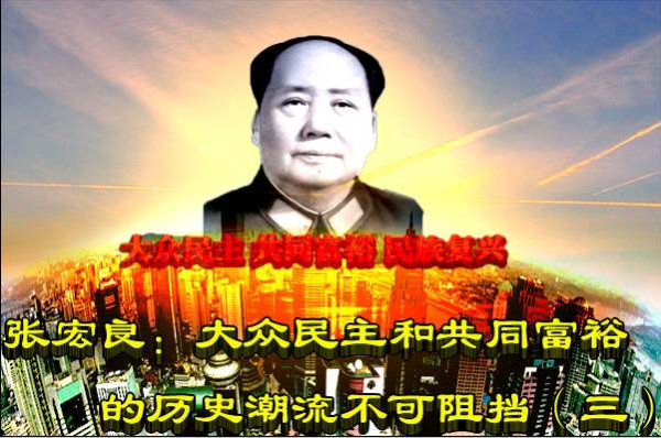 张宏良：大众民主和共同富裕的历史潮流不可阻挡（三）