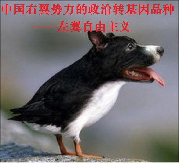 张宏良:人民的信任和支持不是换个名称就能够得到的
