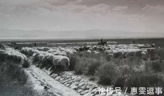 老照片:新中国70年代初期欣欣向荣的农村人民公社