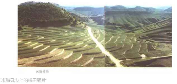 老田：狭隘经验论视野下的农业集体化诸问题