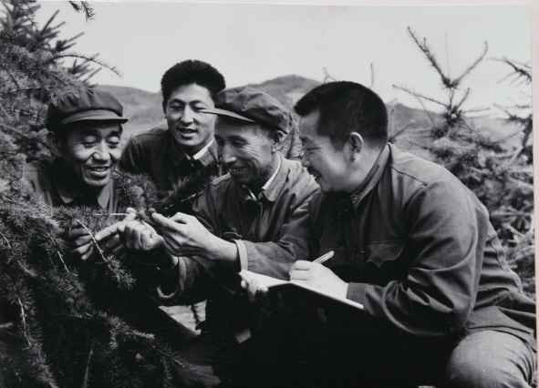 看到塞罕坝的老照片，我落泪了