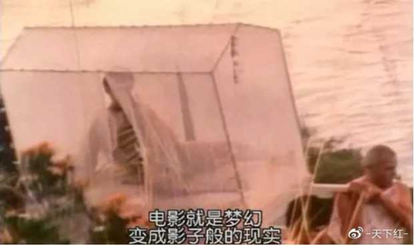 网红的狗坐轿子，富人的狗改历史
