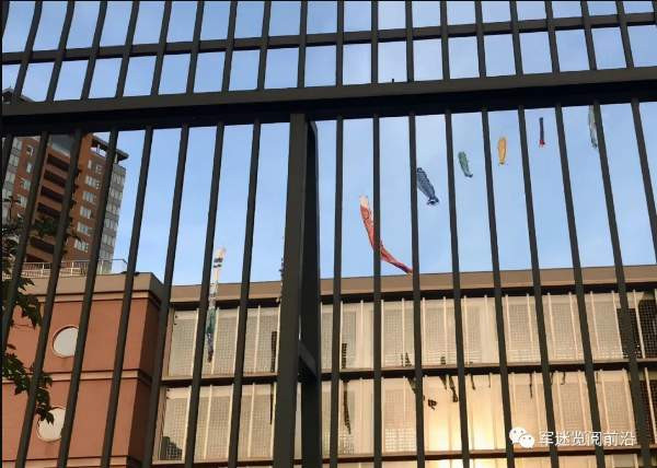 探访上海日本人学校，安保措施十分严格，不接收中国学生