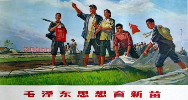 马社香：毛泽东教育理念及实践的初步探索一一朱旦华访谈录