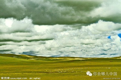 张宏良：目前藏族等少数民族的文明素质确实高于汉族