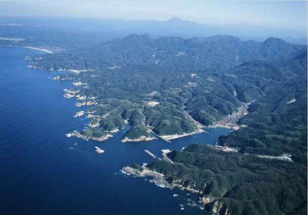 辛亥百年祭  ——中国人完全不了解的近代史（七）