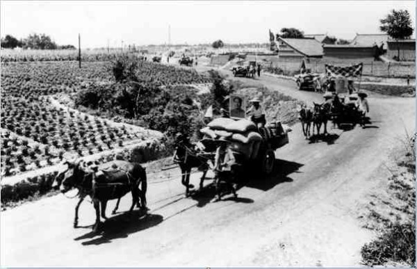 究竟给毛泽东时代的社会主义道路如何定性？