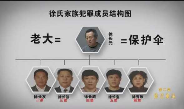 徐长元家族敛百亿资产：扫黑必扫“政商黑三通”