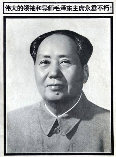 缅怀毛主席——世界人民的毛泽东（综合）