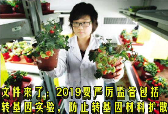 文件来了：2019要严厉监管包括转基因实验，防止转基因材料扩散