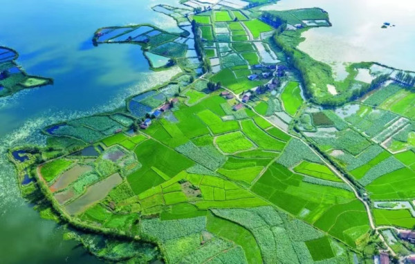 秦明：洞庭湖决堤，为毛泽东时代“围湖造田”说句公道话