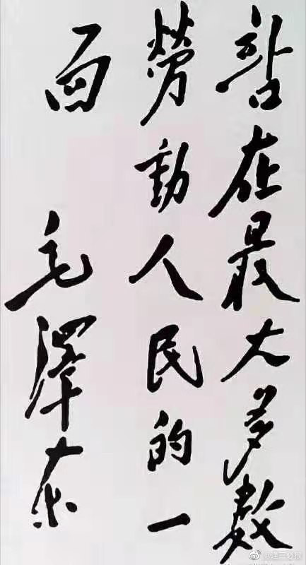 张宏良：她脖子上的铁链锁住的是什么？