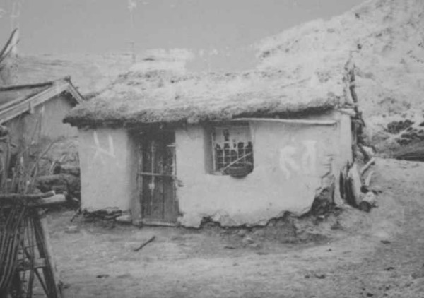 看到塞罕坝的老照片，我落泪了