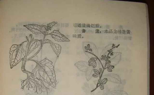 赤脚医生：悬壶济世的温暖记忆【1】