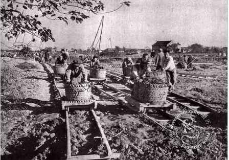 毛泽东社会主义光明道路——农业合作化运动