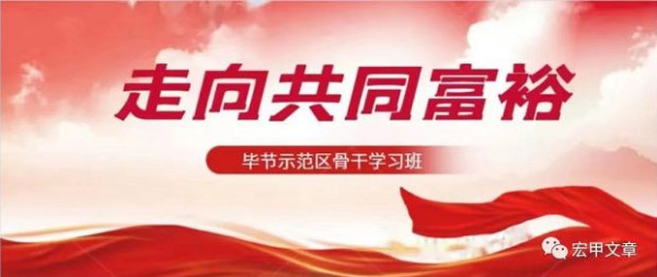 毕节乡村：稻田里的集体劳动