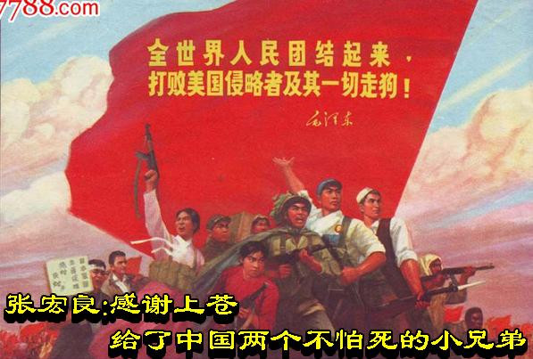 张宏良：感谢上苍给了中国两个不怕死的小兄弟