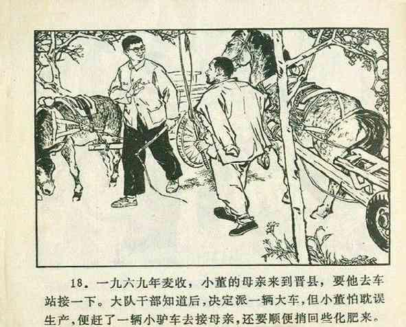 《广阔的天地》——“知识青年到农村去”