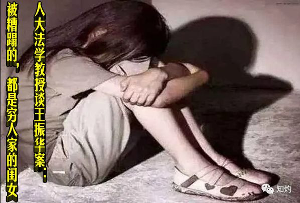 人大法学教授谈王振华案：被糟蹋的，都是穷人家的闺女