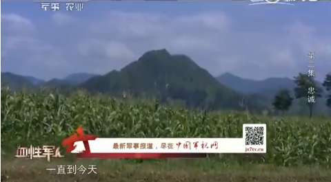 上甘岭381个弹孔的战旗,见证神秘的东方精神