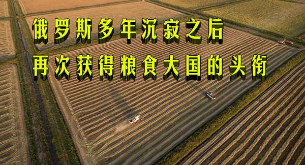 俄罗斯多年沉寂之后再次获得粮食大国的头衔