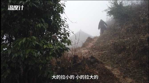 95后大学生随同龄务工者返乡记：我的人生初体验