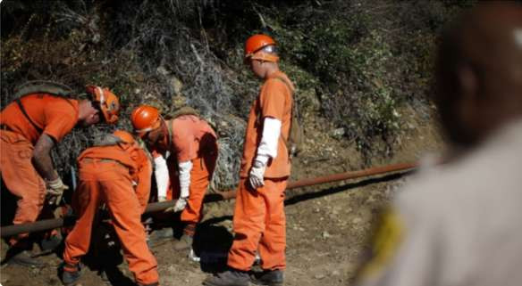 罄竹难书！美国种族歧视面面观