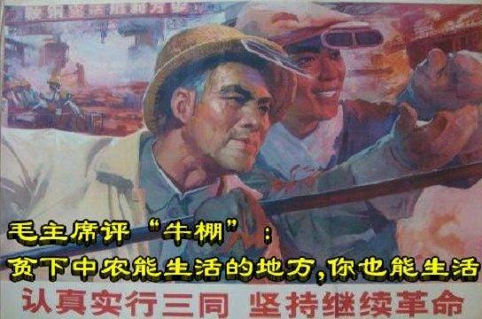 毛主席评“牛棚”：贫下中农能生活的地方，你也能生活