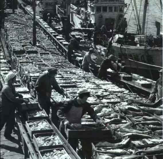 真相：历史必须再次澄清！