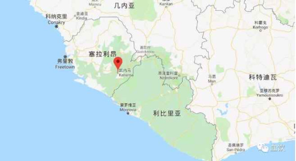 紧急封杀华裔病毒专家邱香果，美国蓄意传播埃博拉病毒剑指中国！