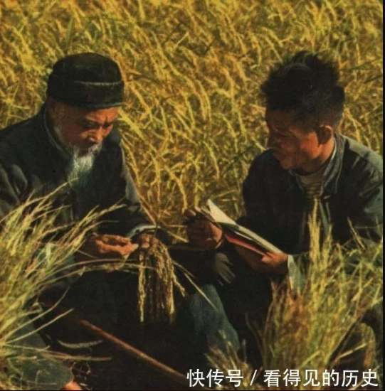 老照片 大跃进时期浙江的农业科技工作者