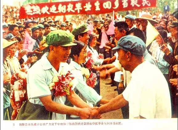 学校应当成为无产阶级专政的工具——记朝阳农学院1975.10