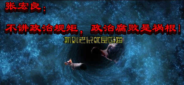 张宏良：不讲政治规矩，政治腐败是祸根！