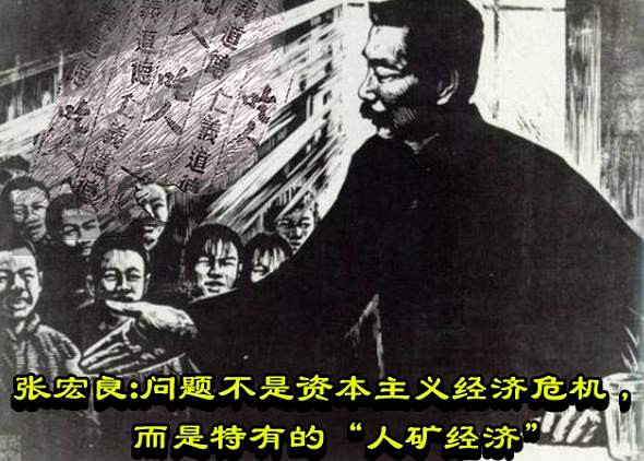 张宏良：问题不是资本主义经济危机，而是特有的“人矿经济”
