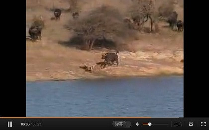 张宏良：当今中国毛派