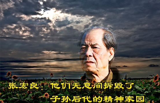 张宏良：他们无意间拆毁了子孙后代的精神家园